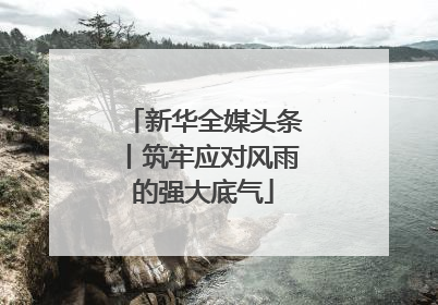 新华全媒头条丨筑牢应对风雨的强大底气